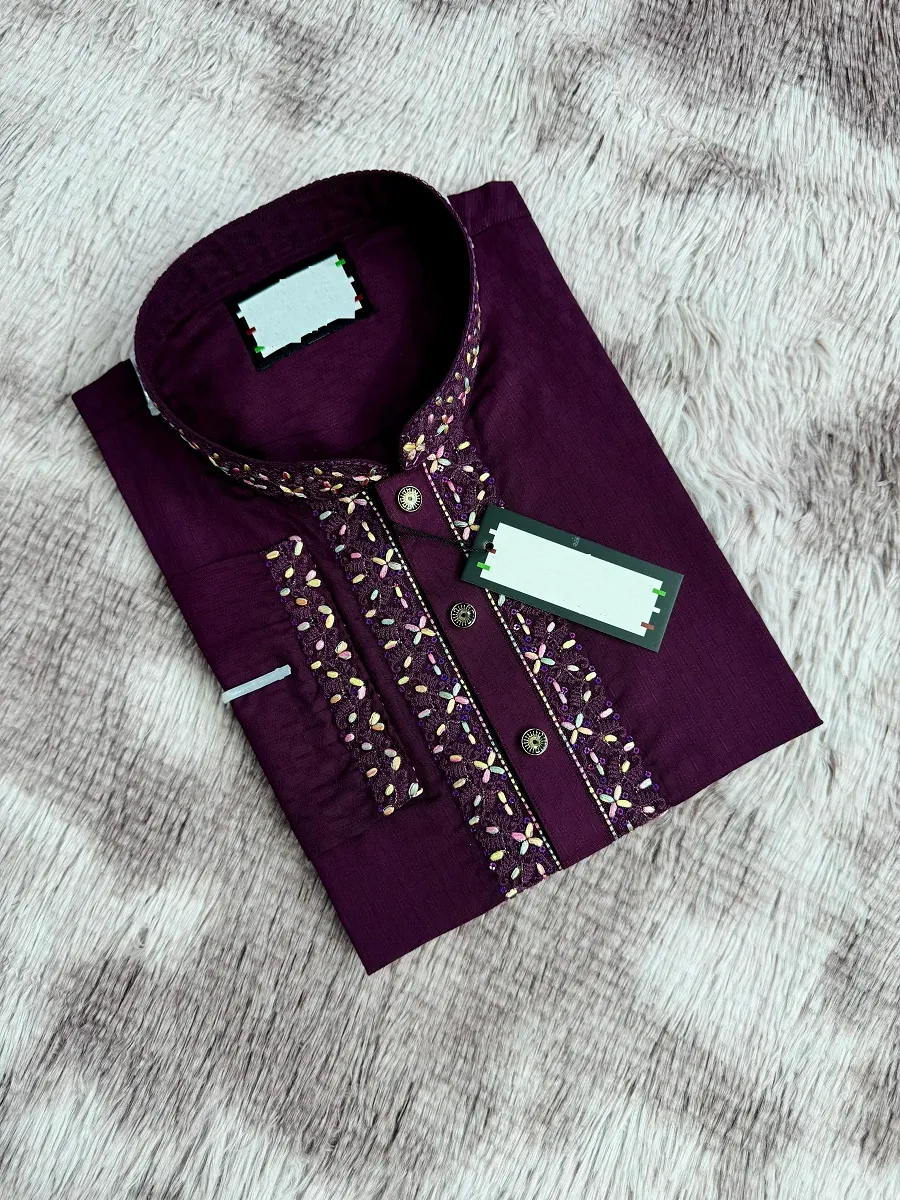 Sequence Embroidery Panjabi