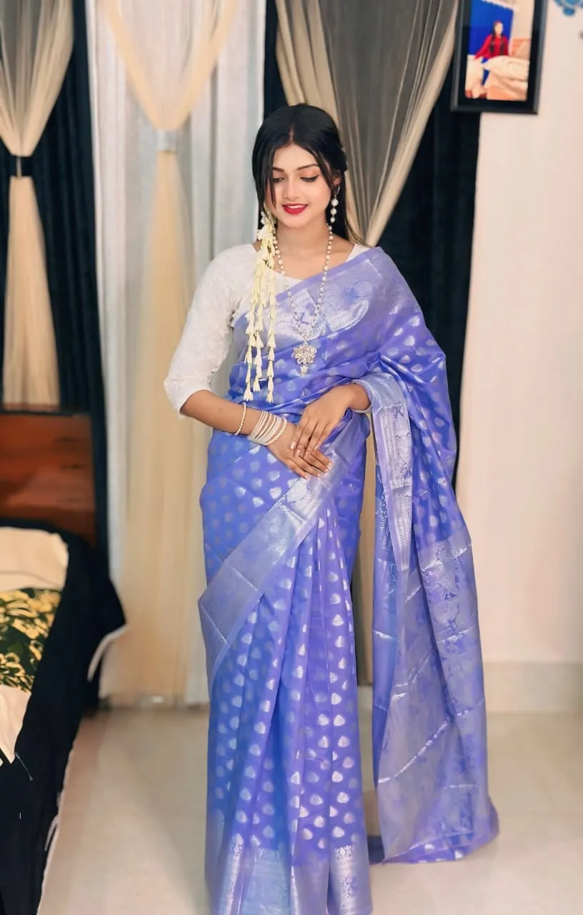 Soft silk katan sharee
